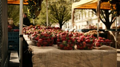 How to choose your next summer destination through local food