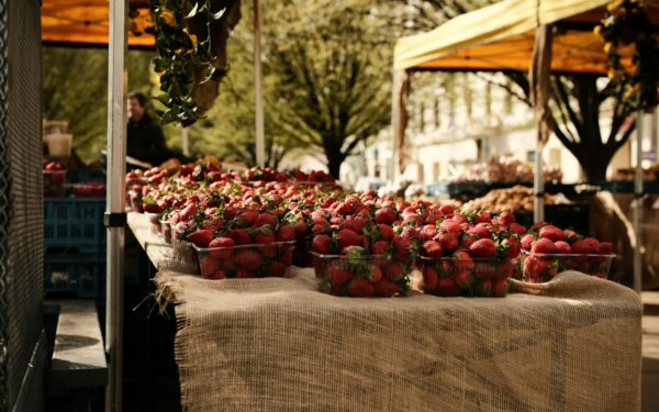 How to choose your next summer destination through local food