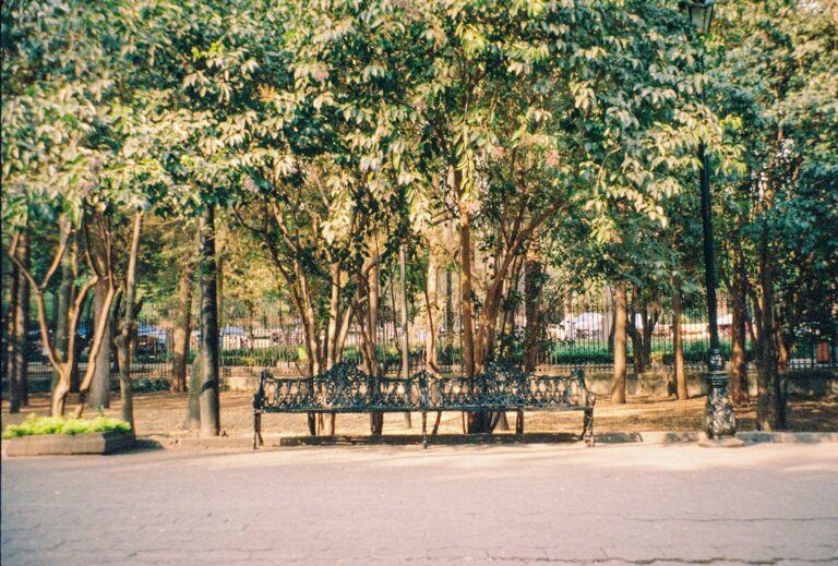 Old town narrow street cafes city park bench