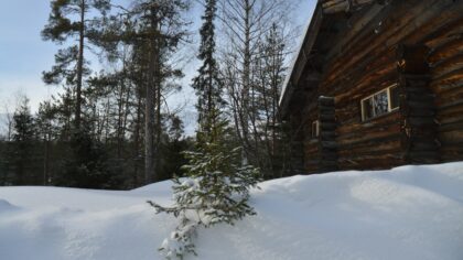 How to plan a cozy winter cabin escape in nature