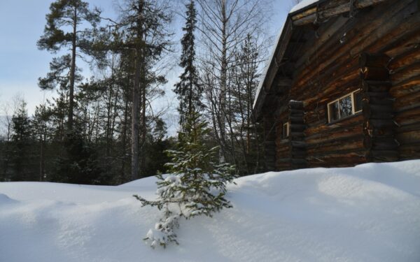 How to plan a cozy winter cabin escape in nature