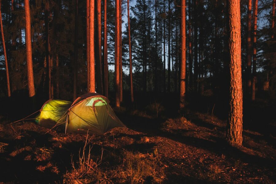 Two hikers small tent forest sunrise