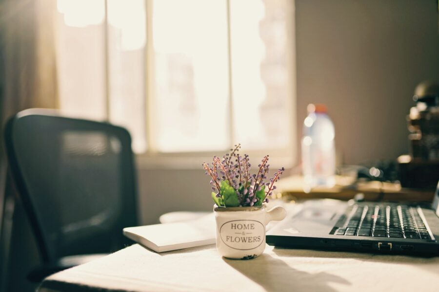 Home office desk notebook coffee plant