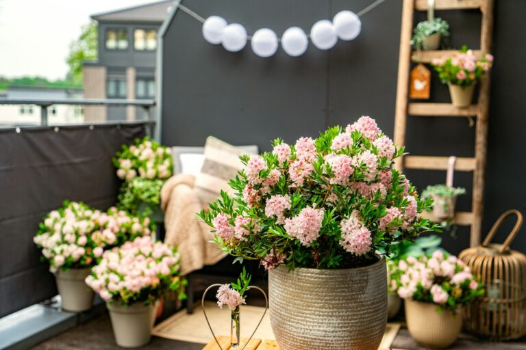 Cozy balcony string lights cushions