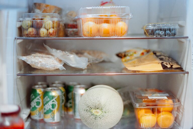 Open refrigerator baking soda box shelves