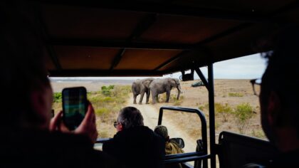 Practical guide to responsible wildlife encounters on your next trip