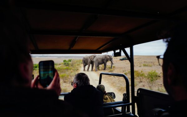 Practical guide to responsible wildlife encounters on your next trip