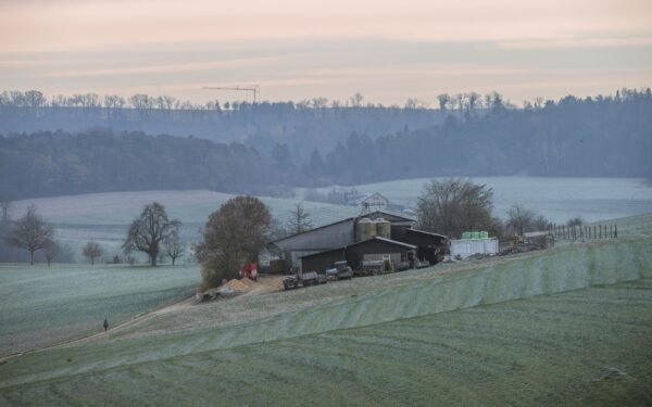 How to choose and use farm stays for a grounded countryside escape