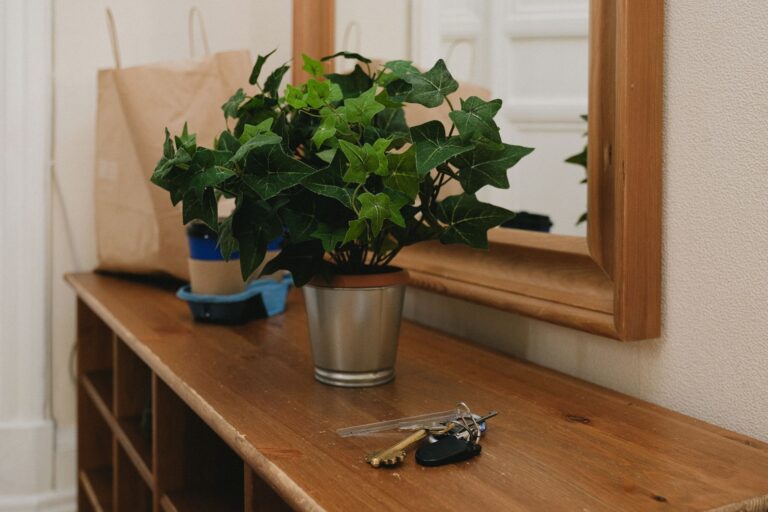 Organized entryway hooks