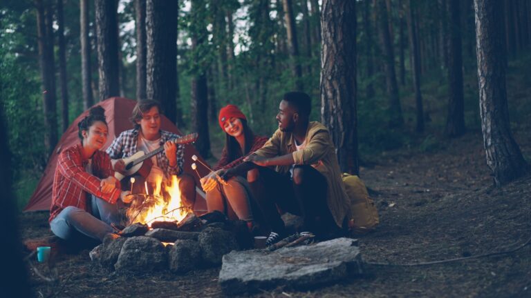 Campfire evening friends