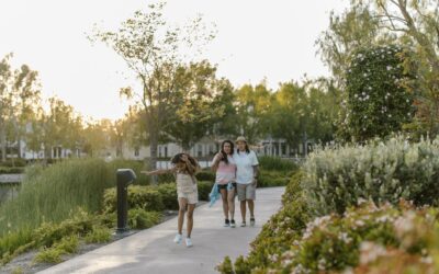 Simple family wellness routines that fit into real life
