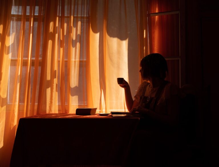 Morning sunlight window