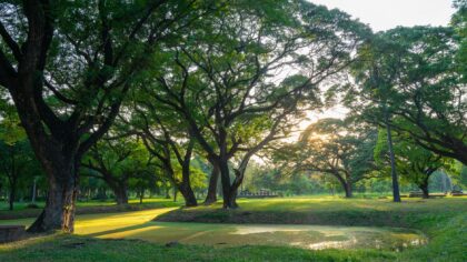Slow summer wellness: how to create a calm season without losing your routine