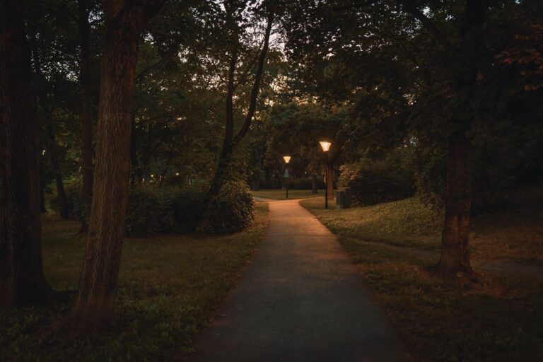 Summer evening walk