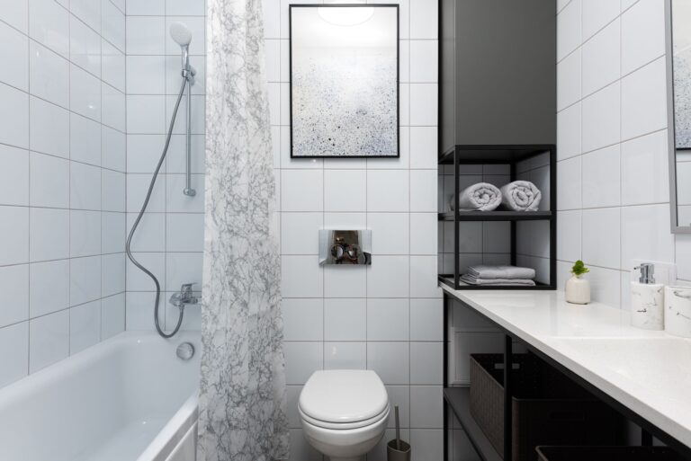 Toilet storage shelves