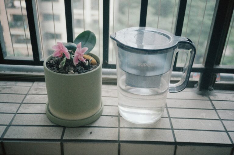 Fruit infused water