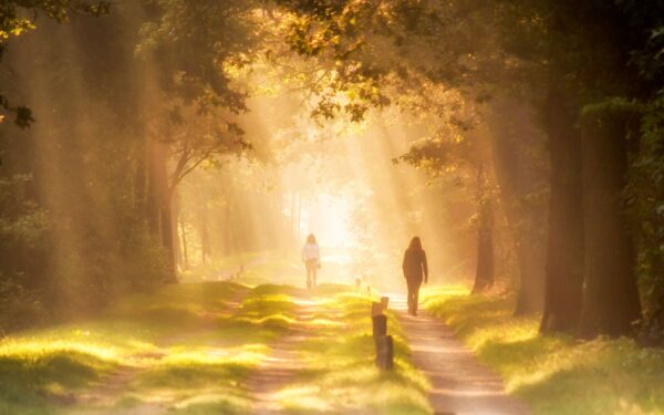 Summer walking routines that keep you active without draining your energy
