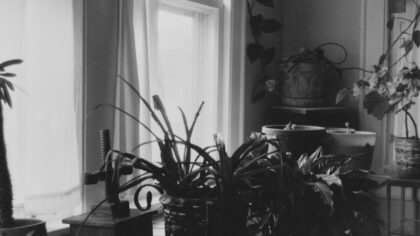 Everyday calm at home: simple ways to lower stress in your living space