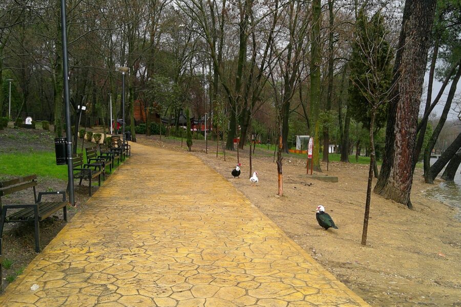 Park path lake