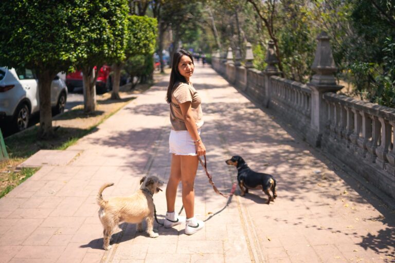 Woman walking dog