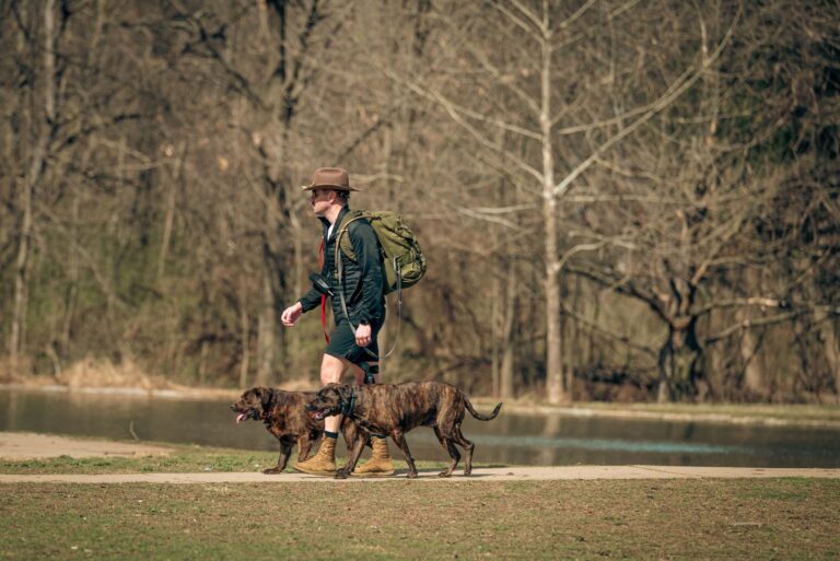 Pet travel kit