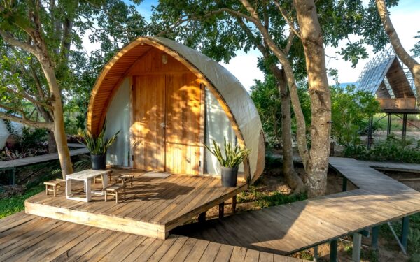 How to plan a weekend forest retreat that actually lets you switch off