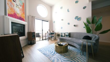 How to set up a pet-friendly home that still feels stylish and easy to live in