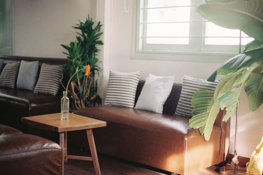 Morning light living