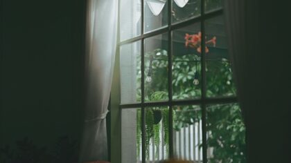 Simple indoor air quality upgrades that make your home feel fresher