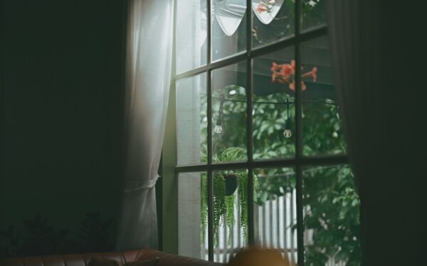 Simple indoor air quality upgrades that make your home feel fresher